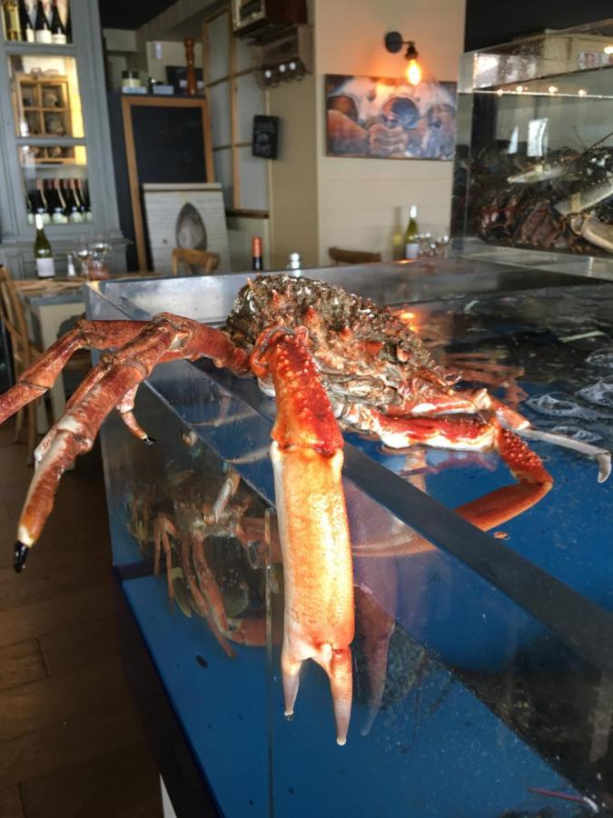 La Table De Jeanne 호텔 에르퀴 외부 사진