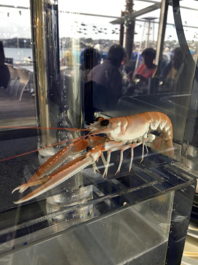 La Table De Jeanne 호텔 에르퀴 외부 사진